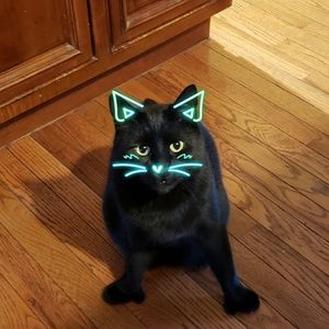 Meet your Posher, Brenda